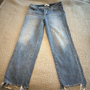 BKE Payton Straight Leg Jeans